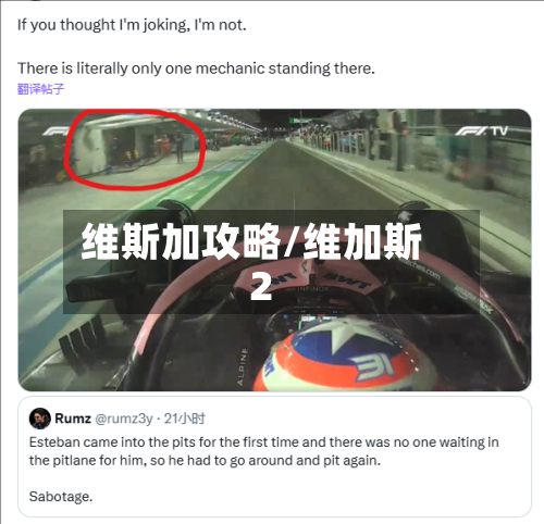 维斯加攻略/维加斯2