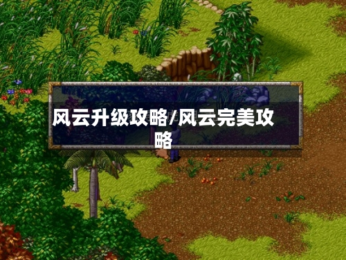 风云升级攻略/风云完美攻略-第2张图片