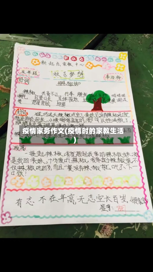 疫情家务作文(疫情时的家教生活)