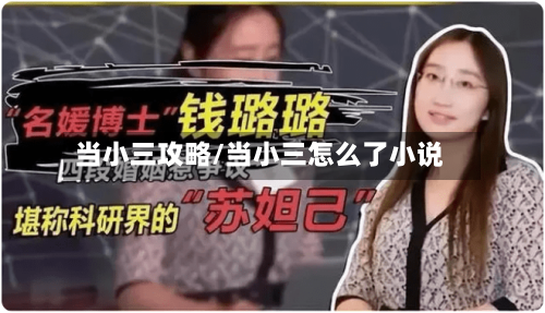 当小三攻略/当小三怎么了小说-第3张图片