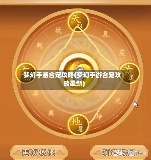 梦幻手游合宠攻略(梦幻手游合宠攻略最新)