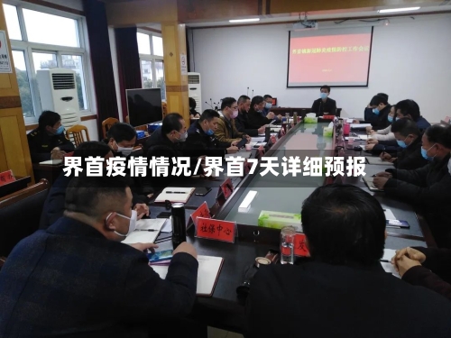 界首疫情情况/界首7天详细预报-第2张图片