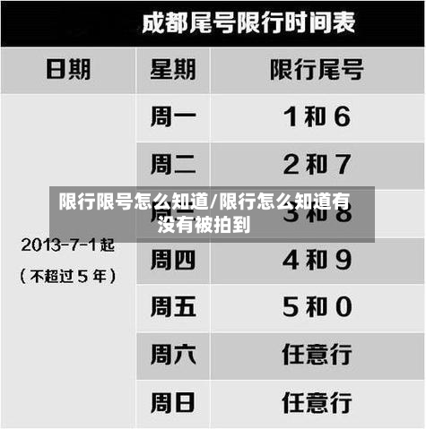 限行限号怎么知道/限行怎么知道有没有被拍到