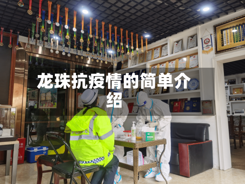 龙珠抗疫情的简单介绍-第2张图片