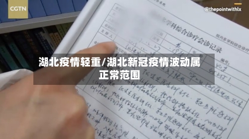 湖北疫情轻重/湖北新冠疫情波动属正常范围