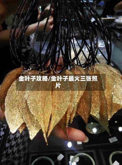 金叶子攻略/金叶子最火三张照片