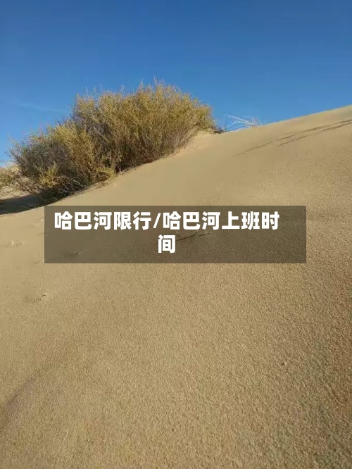 哈巴河限行/哈巴河上班时间-第3张图片