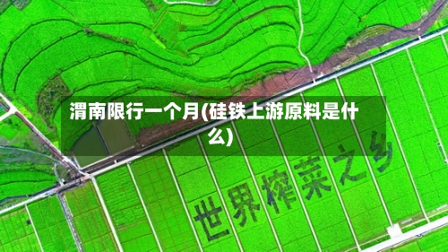 渭南限行一个月(硅铁上游原料是什么)