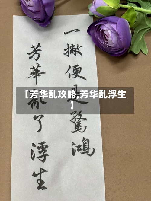 【芳华乱攻略,芳华乱浮生】-第3张图片