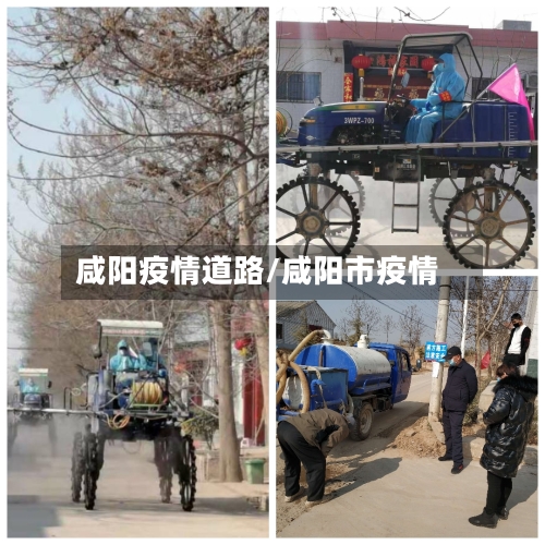 咸阳疫情道路/咸阳市疫情-第3张图片
