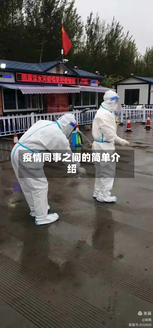 疫情同事之间的简单介绍-第3张图片
