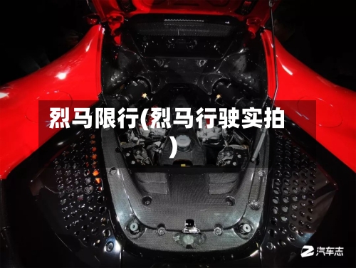 烈马限行(烈马行驶实拍)-第3张图片