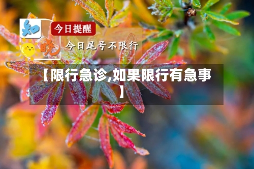 【限行急诊,如果限行有急事】-第2张图片