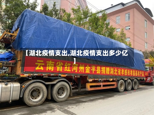 【湖北疫情支出,湖北疫情支出多少亿】-第2张图片