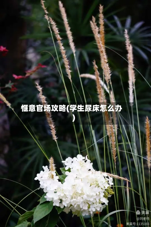 惬意官场攻略(学生尿床怎么办)