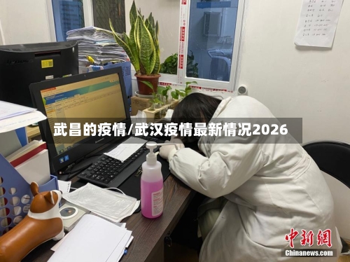 武昌的疫情/武汉疫情最新情况2026