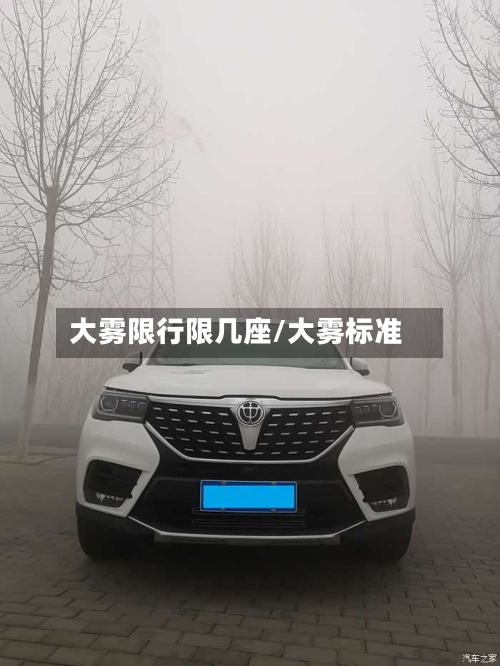 大雾限行限几座/大雾标准