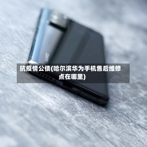抗疫情公债(哈尔滨华为手机售后维修点在哪里)-第2张图片