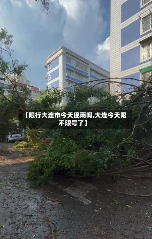 【限行大连市今天现雨吗,大连今天限不限号了】
