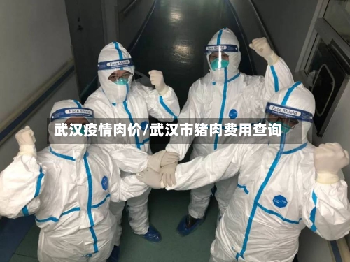 武汉疫情肉价/武汉市猪肉费用查询