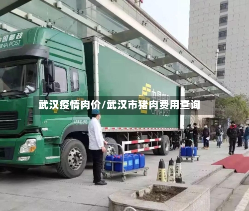 武汉疫情肉价/武汉市猪肉费用查询-第2张图片