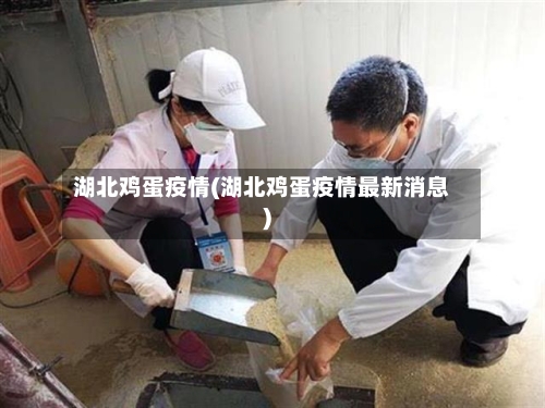 湖北鸡蛋疫情(湖北鸡蛋疫情最新消息)-第2张图片