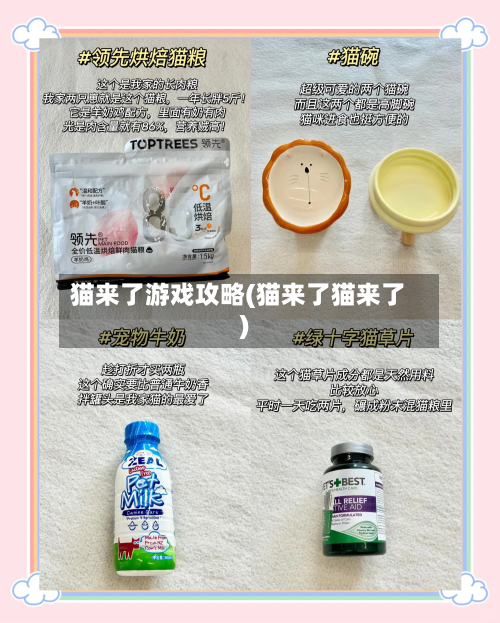 猫来了游戏攻略(猫来了猫来了)-第2张图片