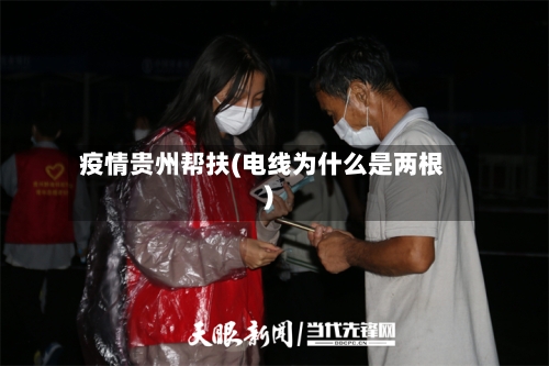 疫情贵州帮扶(电线为什么是两根)