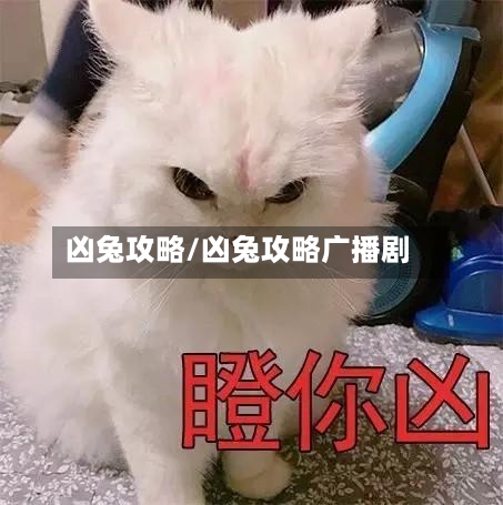 凶兔攻略/凶兔攻略广播剧-第2张图片
