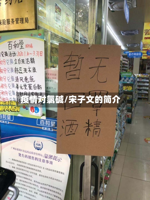 疫情对氯碱/宋子文的简介