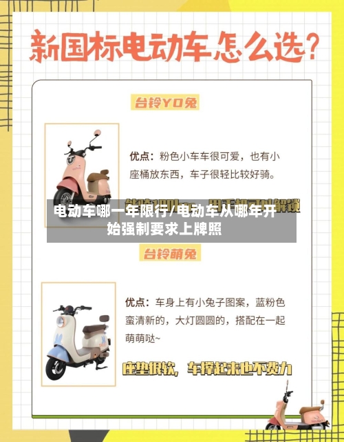 电动车哪一年限行/电动车从哪年开始强制要求上牌照-第3张图片