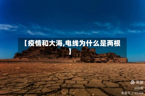 【疫情和大海,电线为什么是两根】-第2张图片