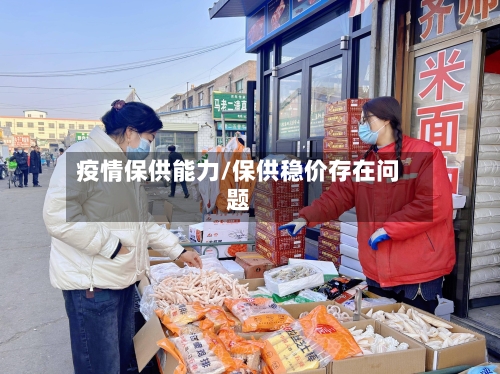 疫情保供能力/保供稳价存在问题-第3张图片