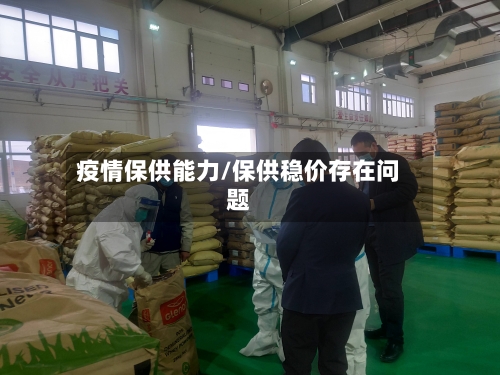 疫情保供能力/保供稳价存在问题