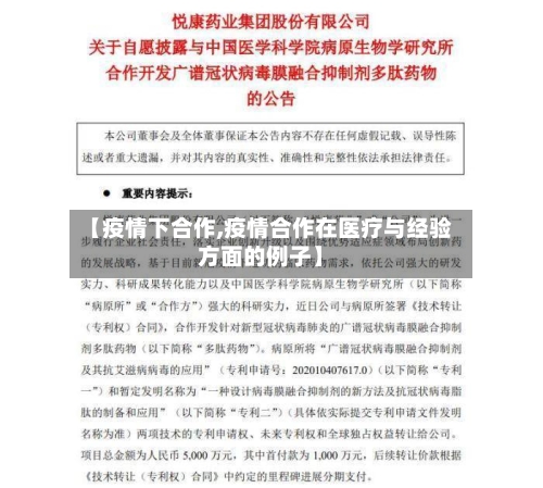 【疫情下合作,疫情合作在医疗与经验方面的例子】-第3张图片
