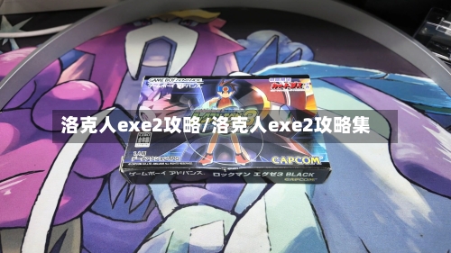 洛克人exe2攻略/洛克人exe2攻略集-第2张图片