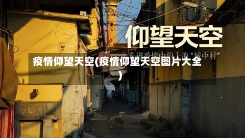 疫情仰望天空(疫情仰望天空图片大全)-第2张图片