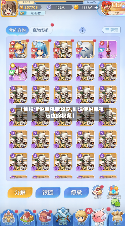 【仙境传说单机版攻略,仙境传说单机版攻略视频】