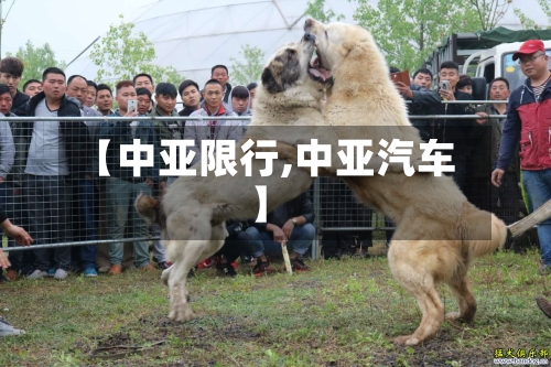 【中亚限行,中亚汽车】-第2张图片