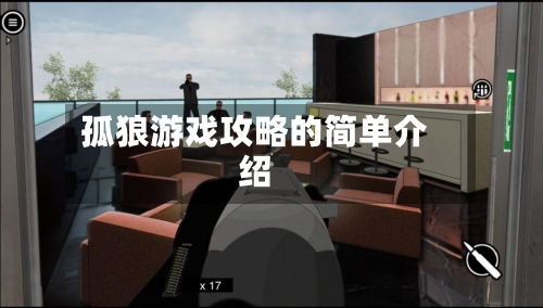 孤狼游戏攻略的简单介绍