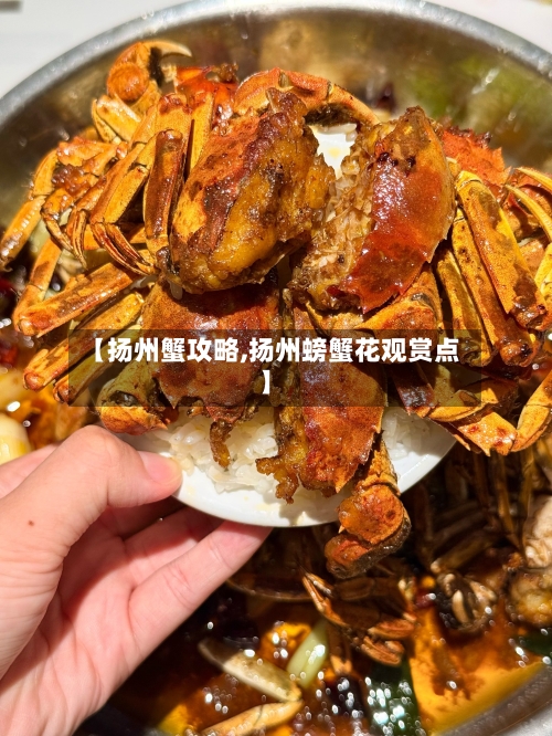 【扬州蟹攻略,扬州螃蟹花观赏点】-第2张图片