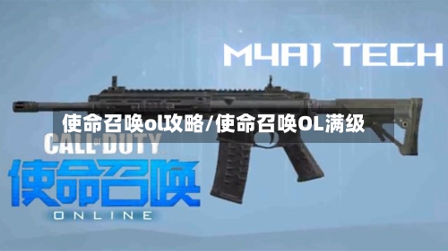 使命召唤ol攻略/使命召唤OL满级-第2张图片