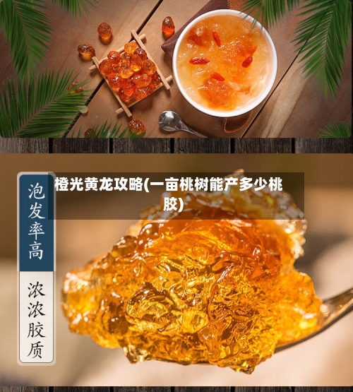 橙光黄龙攻略(一亩桃树能产多少桃胶)