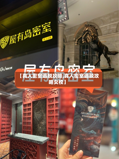 【真人密室逃脱攻略,真人密室逃脱攻略女校】-第2张图片