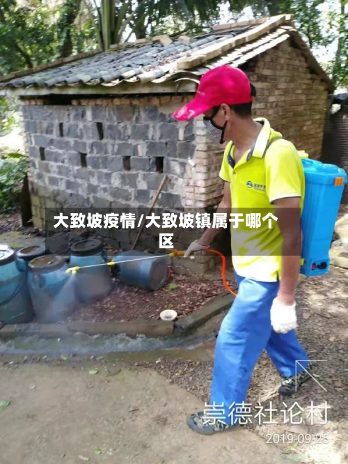 大致坡疫情/大致坡镇属于哪个区