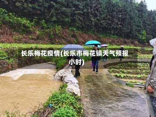 长乐梅花疫情(长乐市梅花镇天气预报小时)-第2张图片