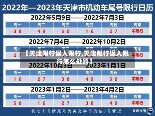 【天津限行误入限行,天津限行误入限行怎么处罚】