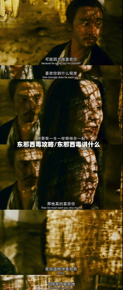 东邪西毒攻略/东邪西毒讲什么