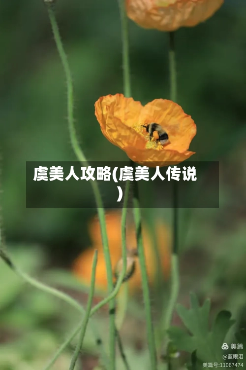 虞美人攻略(虞美人传说)-第2张图片