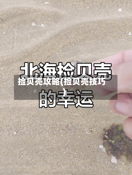捡贝壳攻略(捡贝壳技巧)-第2张图片